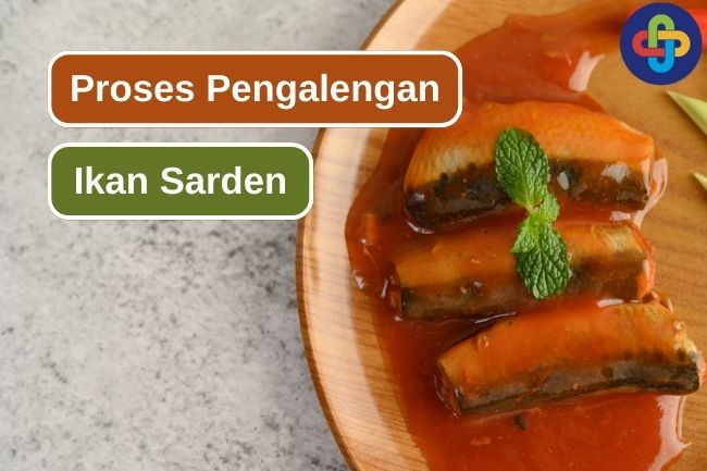 Inilah Tahapan dalam Pengalengan Ikan Sarden